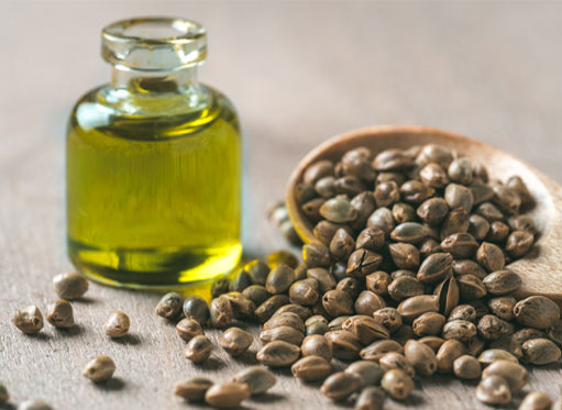 hemp seeds and hemp seed oil